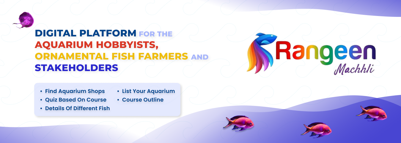 website-development wayindia